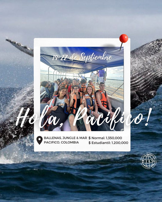 BALLENAS, JUNGLE & MAR