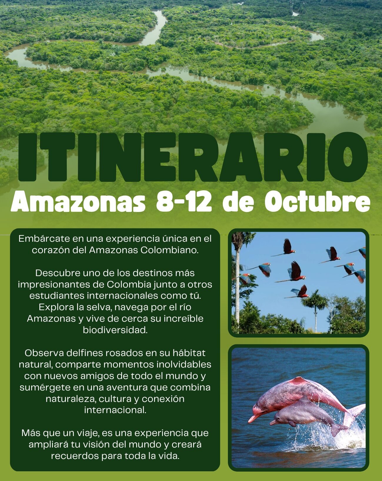 Amazonas Origins by MIEO - Imagen 7