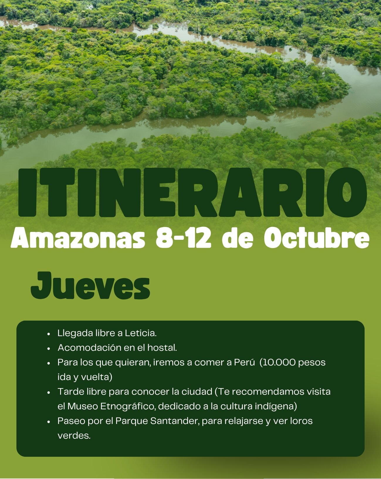 Amazonas Origins by MIEO - Imagen 8