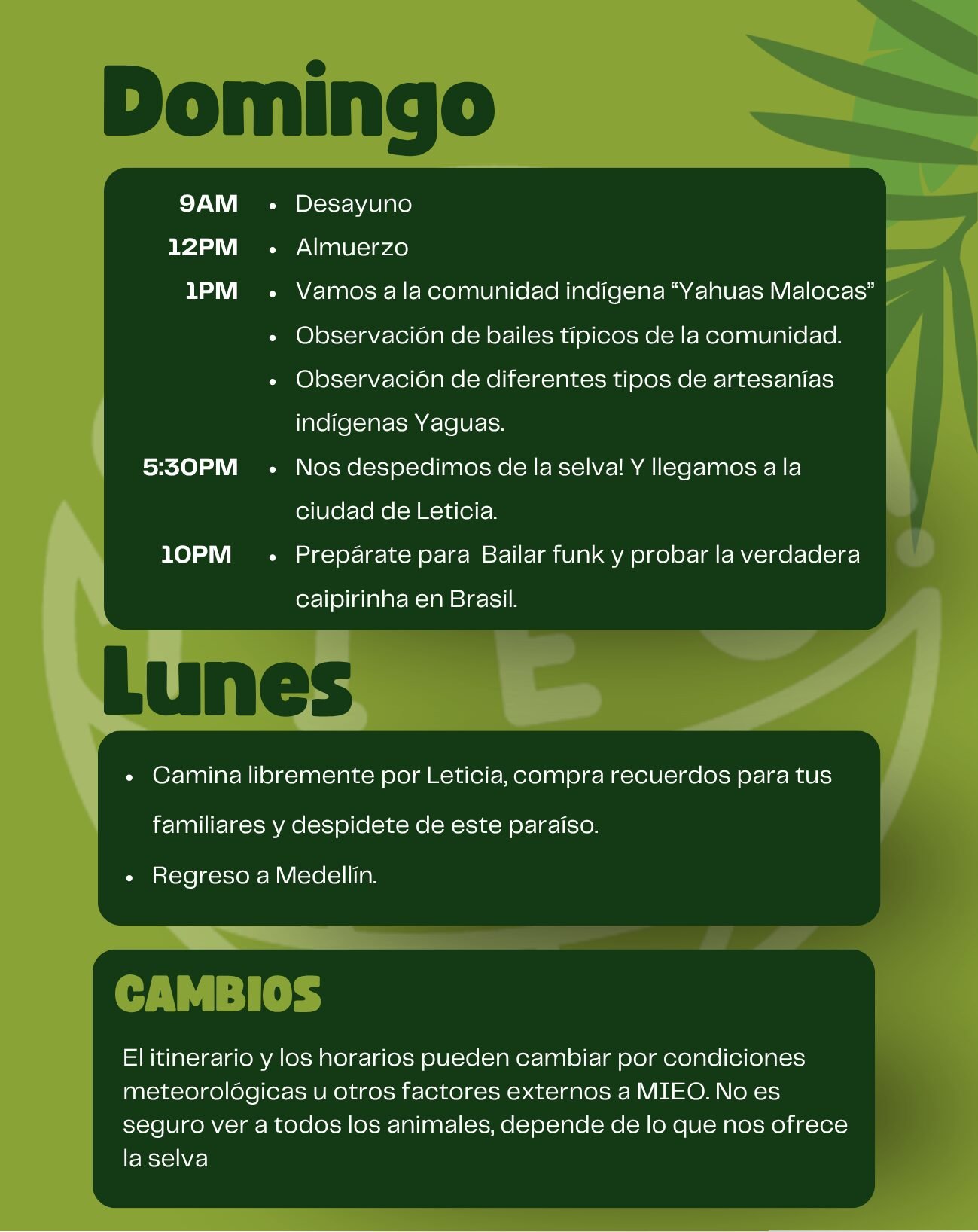 Amazonas Origins by MIEO - Imagen 10