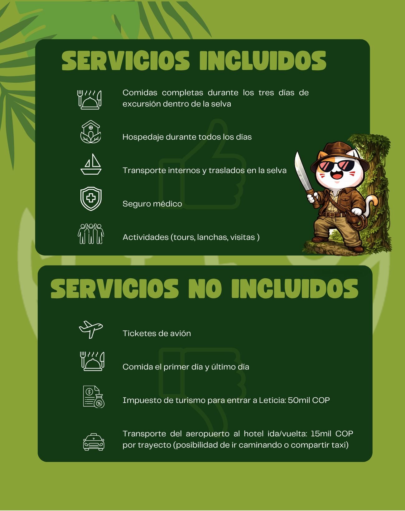 Amazonas Origins by MIEO - Imagen 11