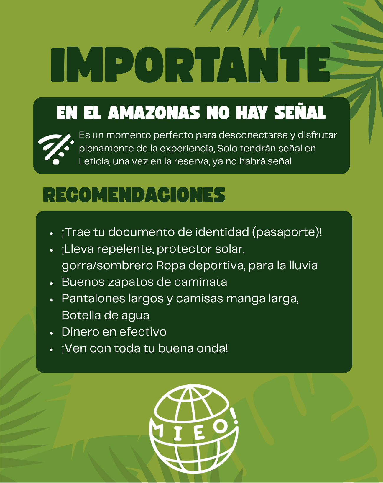 Amazonas Origins by MIEO - Imagen 12